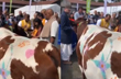 Rishi Sunak performs Gau pooja with wife in London, wins praise from Indians